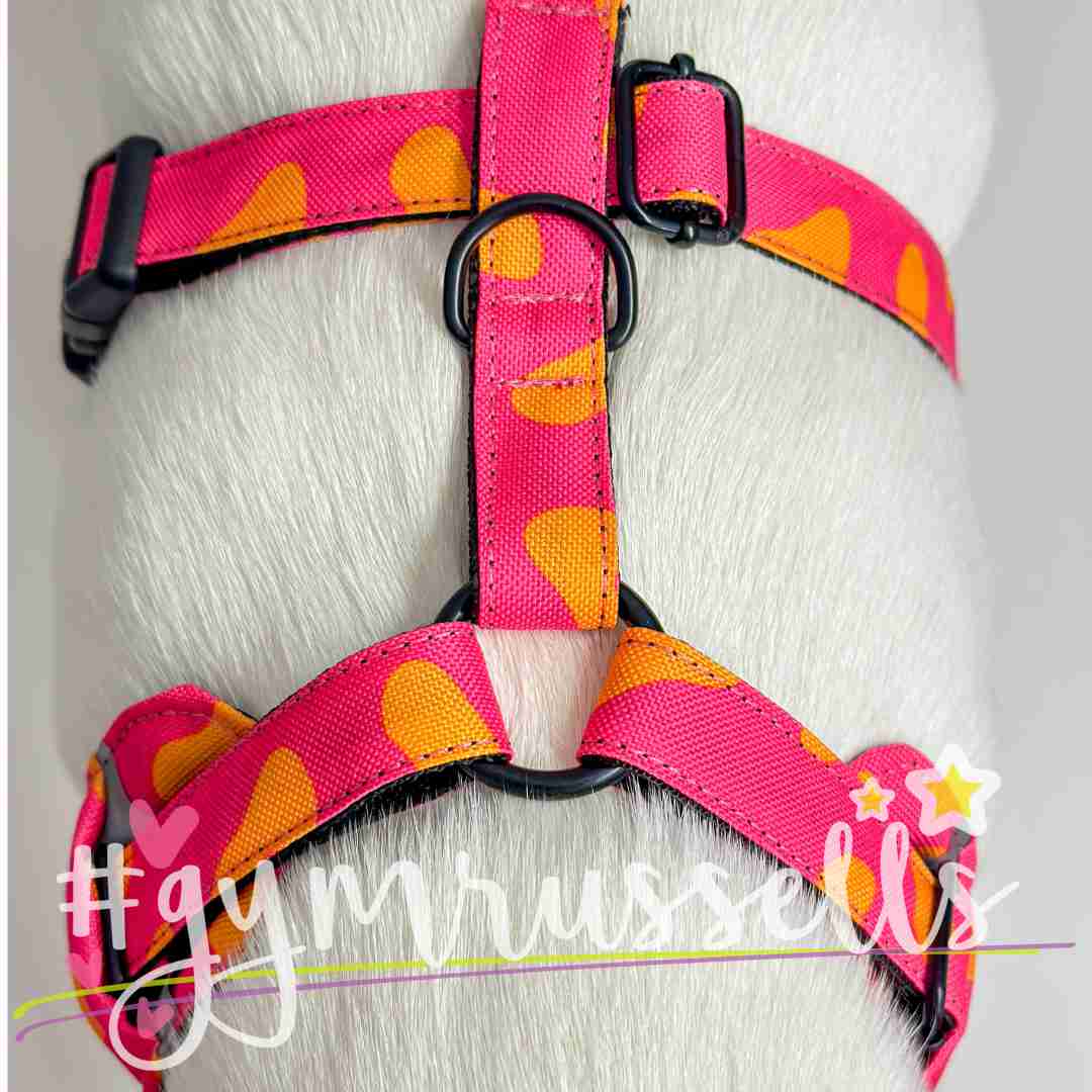 Leopard Strap harness in Pink image 1