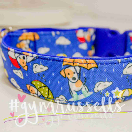 Rainy doggie blue collar image 2