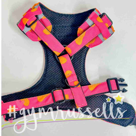 Pink leopard chest harness - Gymrussells image 3