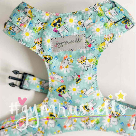 Spring Doggie turquoise chest harness image 2