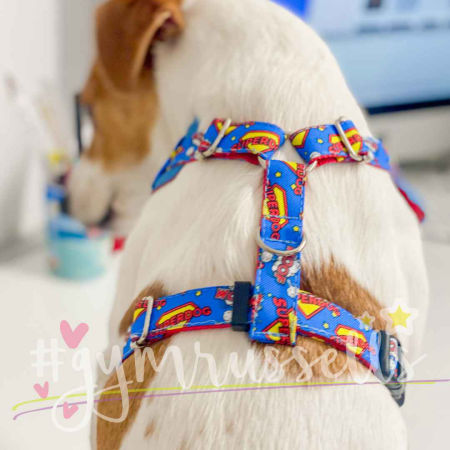 Superdog Patch Chest harness - Gymrussells image 3