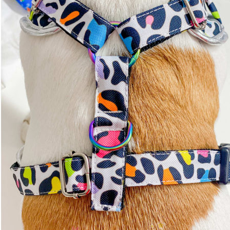 Rainbow Leopard chest harness - Gymrussells image 3