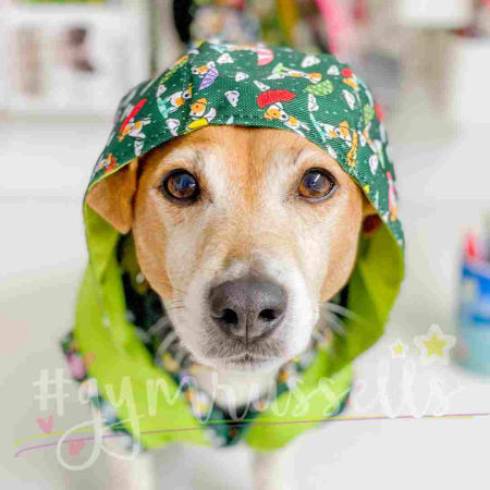 Raincoat for dogs image 3